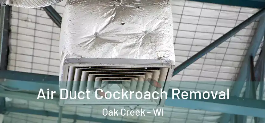 Air Duct Cockroach Removal Oak Creek - WI