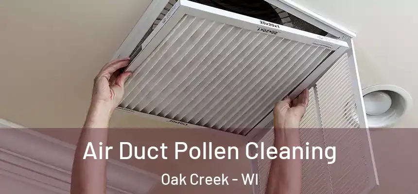 Air Duct Pollen Cleaning Oak Creek - WI