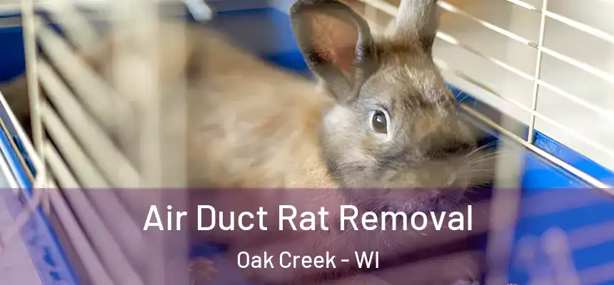 Air Duct Rat Removal Oak Creek - WI