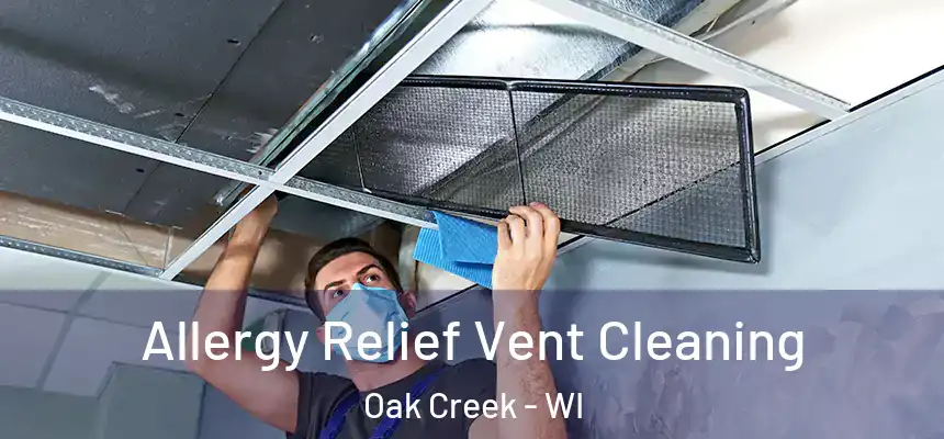Allergy Relief Vent Cleaning Oak Creek - WI