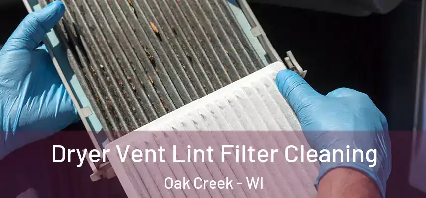  Dryer Vent Lint Filter Cleaning Oak Creek - WI