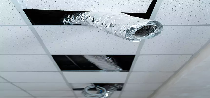 Our Air Duct Pet Hair Removal Services in Oak Creek, WI