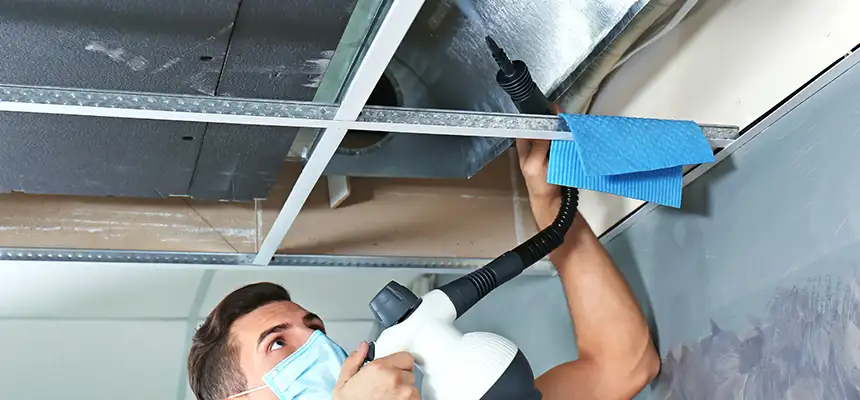 Our Air Duct Rodent Removal Services in Oak Creek, WI