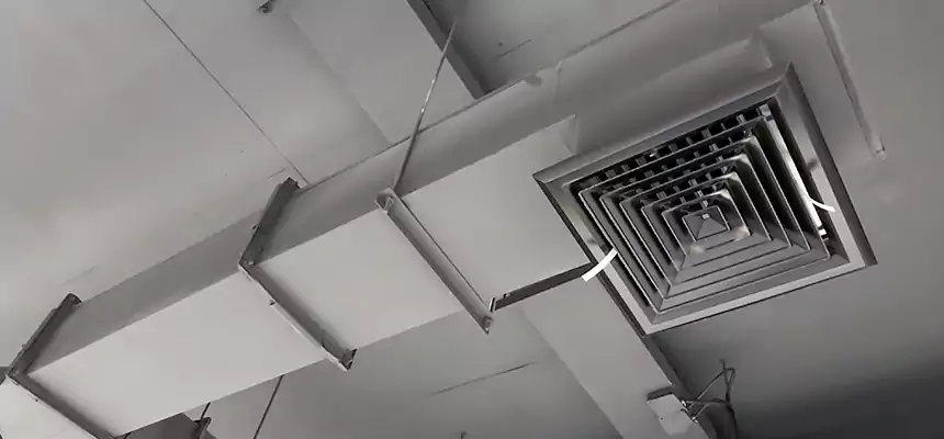 Our Rodent Droppings In Vents Services in Oak Creek, WI