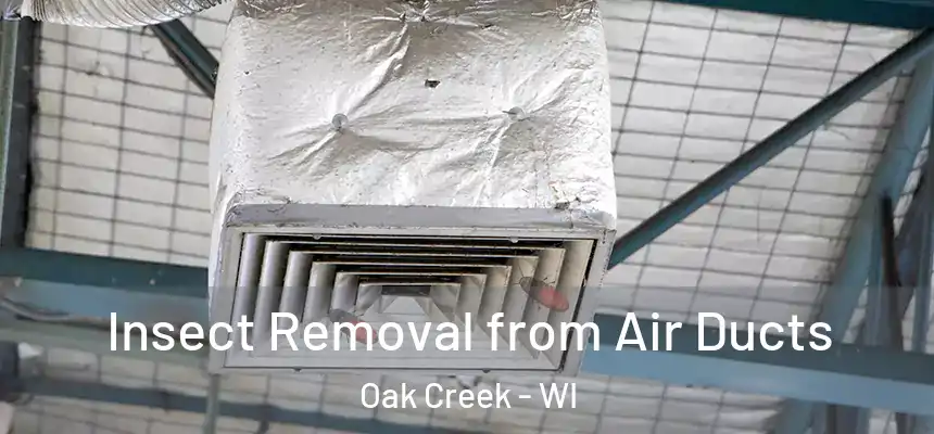 Insect Removal from Air Ducts Oak Creek - WI