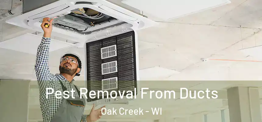 Pest Removal From Ducts Oak Creek - WI