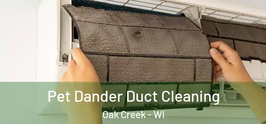 Pet Dander Duct Cleaning Oak Creek - WI