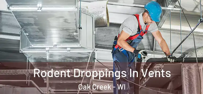 Rodent Droppings In Vents Oak Creek - WI