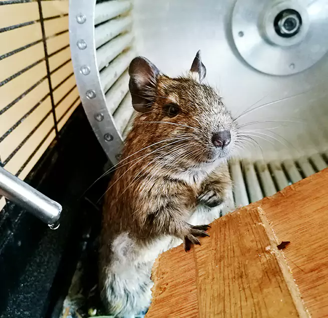 Why Homeowners & Businesses Trust Us Oak Creek, WI